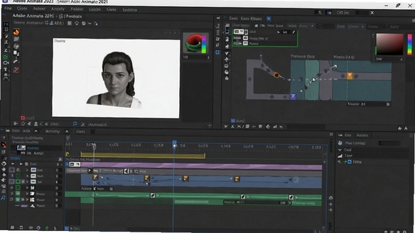 Adobe Animate 2021ʱ�����벹�䶯���༭����