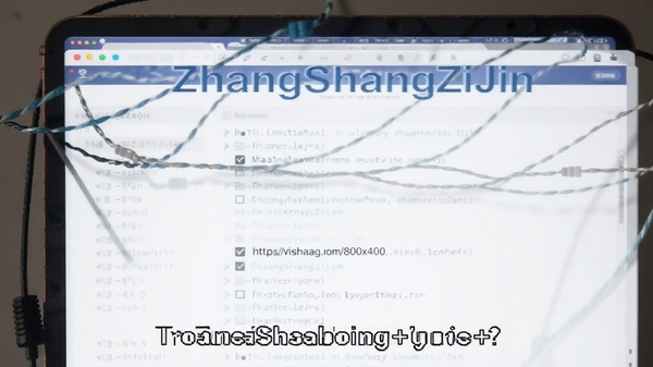 https://via.placeholder.com/800x400?text=Troubleshooting+Guide+for+ZhangShangZiJin