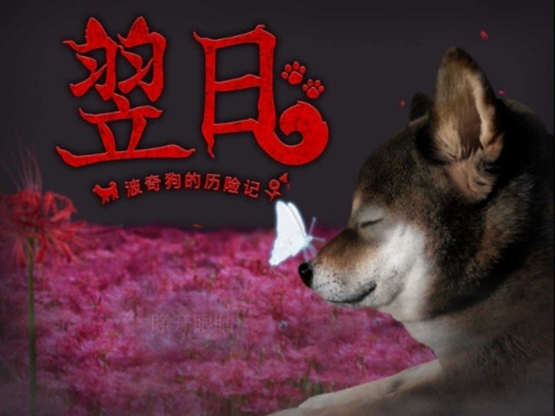 ���ղ��湷�����ռ�Steam��ֲ��Ϸ�ֻ����ͼ1