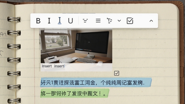 纯纯周记富文本编辑界面,调出文字格式工具条,包含B、I、U图标和待办复选框,背景为笔记本纹理,显示有插入的图片和不同颜色的文字标注