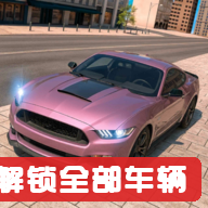 (CarS)����S���ò˵���(����ȫ������)v81 �޹��