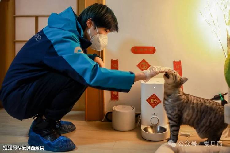 ë���ڼ�-���｡���ջ��ܼ����ŷ��񳡾�ͼƬ