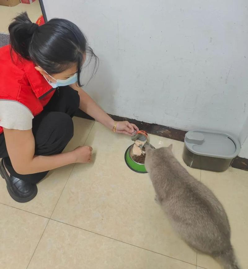 ë���ڼ�-���｡���ջ��ܼ����ŷ�����ԱЯ�����߰�ͼƬ