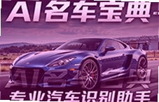 AI�������䣬רҵ����ʶ�����֣����ٲ鳵�����ñ���
