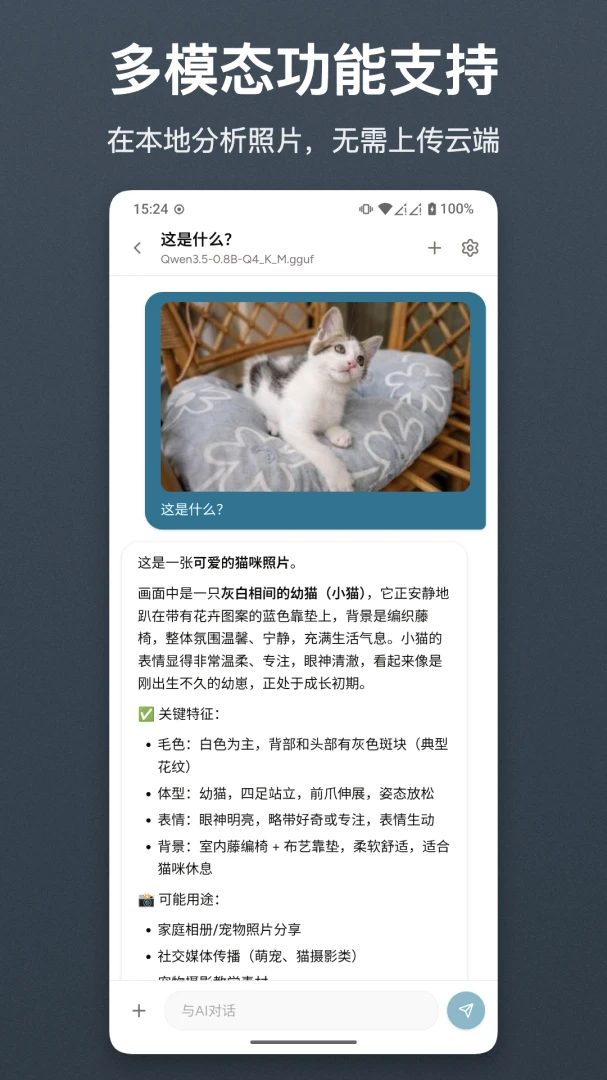 清鸽LocalAI-本地智能AI助手截图