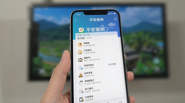 用户正在手机上使用平安版纳APP,界面清晰展示功能列表,背景虚化处理突出主体。