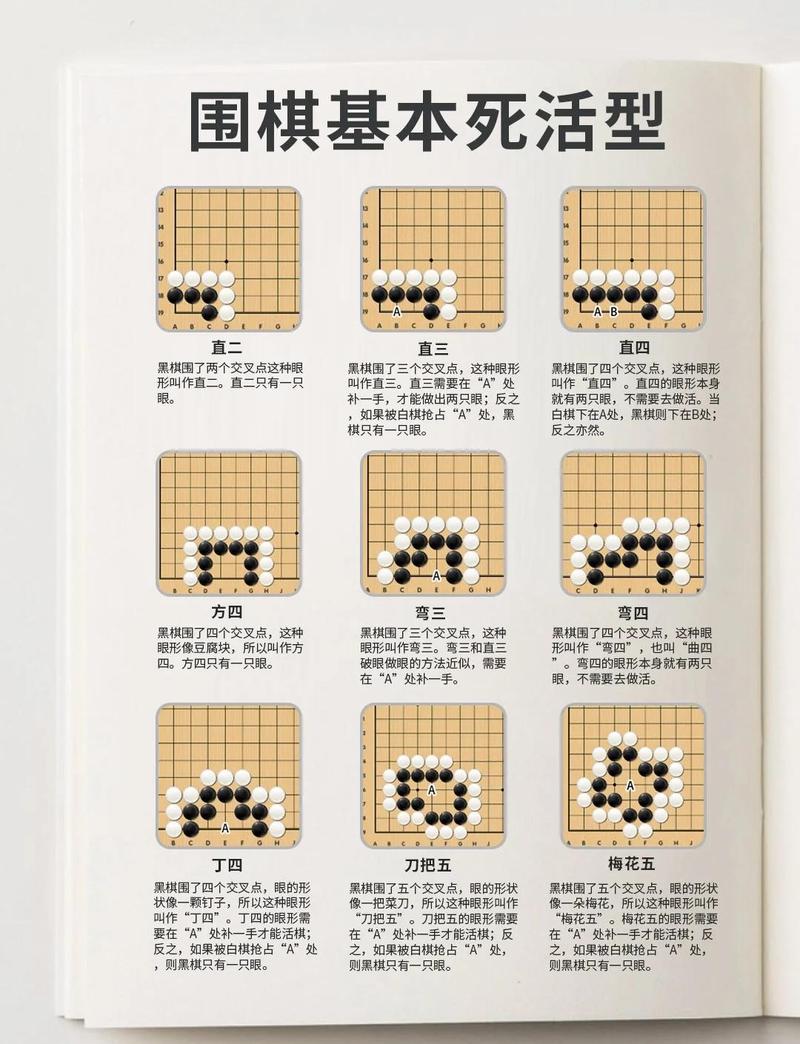 Χ��ʵѵ-Χ��ѧϰ��ʵս���� ������ѵ�� ����������