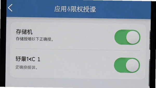 �ֻ���Ӧ��Ȩ�����ý��棬չʾ�洢�������Ȩ�޿��أ���������˵�������ȷ��Ȩ