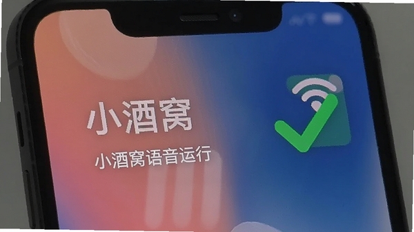 �ֻ���Ļ��ʾС�������������������Ա���WiFi�ź�����ͼ�꣬����Ϊ��ɫ�Թ���ʾ�Ż��ɹ�