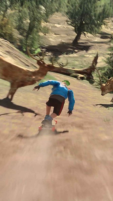 ���������ٷ�����(Downhill Racer)��ͼ