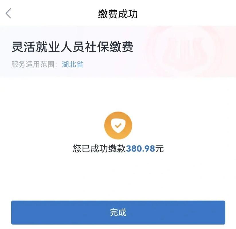 灵活就业通-社保缴费查询助手 手机查询灵活就业社保缴费明细操作界面