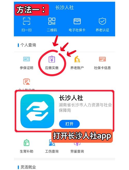 灵活就业通-社保缴费查询助手 灵活就业参保状态与缴费月份查询页面