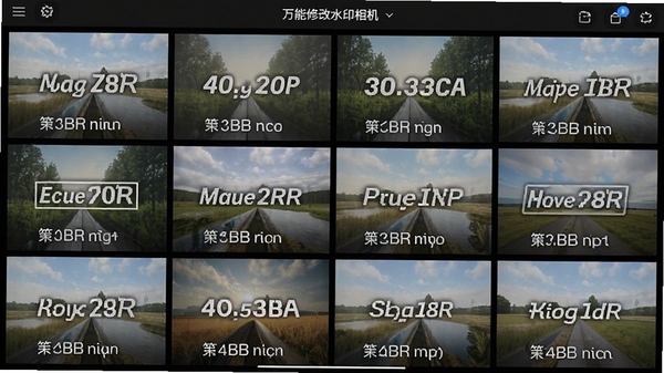 万能修改水印相机批量处理功能展示,多张照片排列,每张照片带有不同水印信息,界面清晰直观