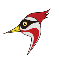 ��ҽ��-���ܽ�����������v1.53 �ٷ�����