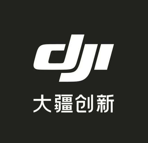 ����ҵapp�ٷ����(DJI Enterprise) ������ڲ��ҷ�����ͼ