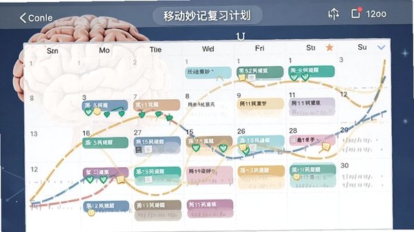 �ƶ���Ǹ�ϰ�ƻ����棬������ͼ�ϱ���˲�ͬ��ɫ�ĸ�ϰ���ѣ������д��Ժͼ�������ͼ�Σ����ֿ�ѧ����