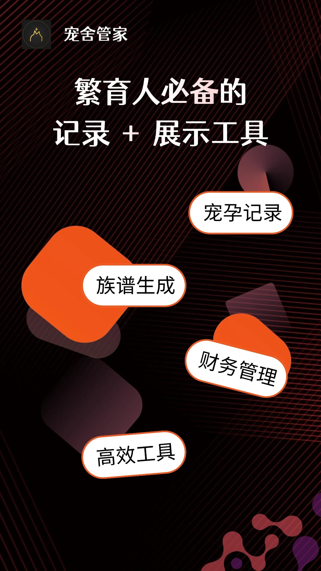 ����ܼ�-è�䷱���������ֽ�ͼ