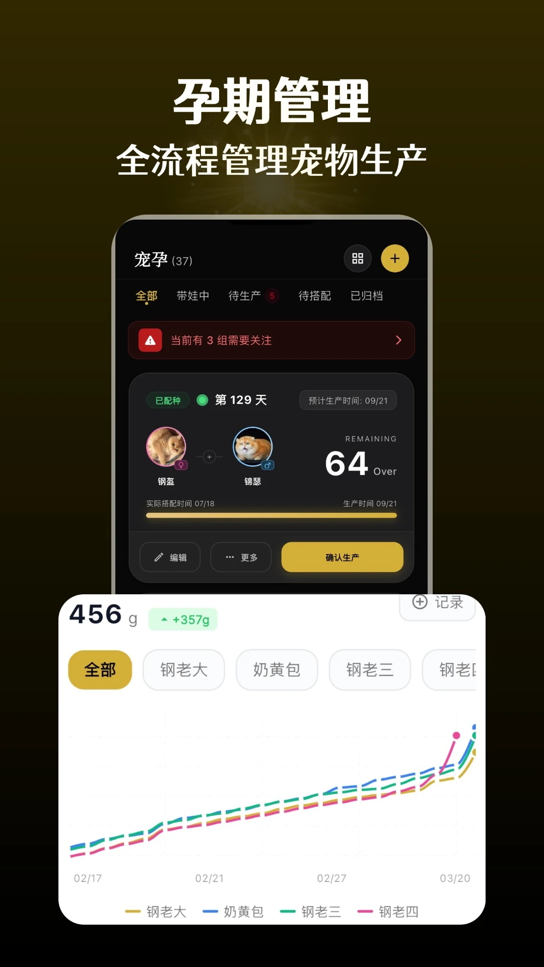 ����ܼ�-è�䷱���������ֽ�ͼ