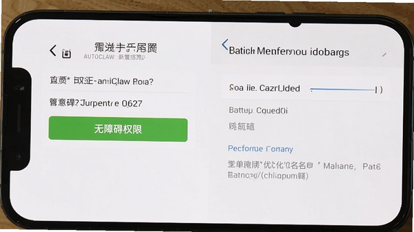 AutoClaw新手设置引导界面截图,展示无障碍权限开启步骤与电池优化白名单设置页面,手机屏幕截图风格,清晰直观