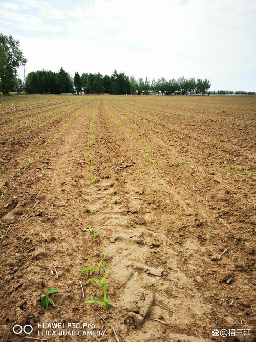 ��������-��׼ʵʱԤ������ �ֶ���λ�ֵ� ������ѯ��λУ׼