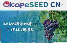 GrapeSEED CN英语学习助手高效提升孩子英语能力