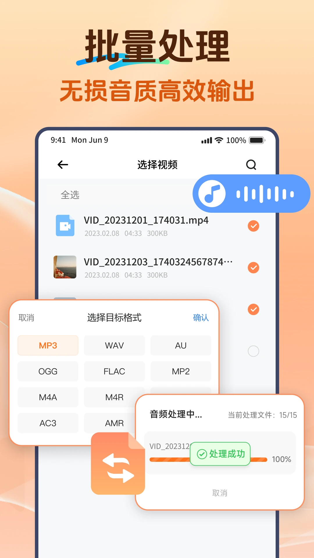 Viwoo��Ƶ��ʽת����-ȫ����Ƶת����ͼ