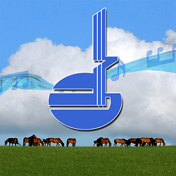 ���������-����ʽ�ŷ羭Ӫv1.1.6 �ٷ�����