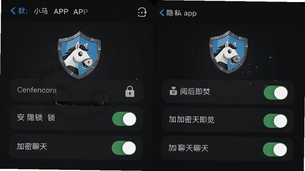С��APP��˽��ȫ���ý��棬չʾӦ�������ĺ󼴷١����������ѡ��أ���������ɫģʽ���֣�ͻ����ȫ�������ܣ���С��APP����ͼ��