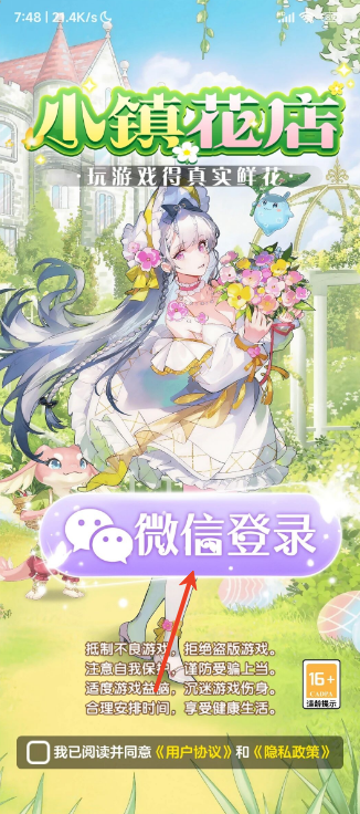 С�򻨵�����