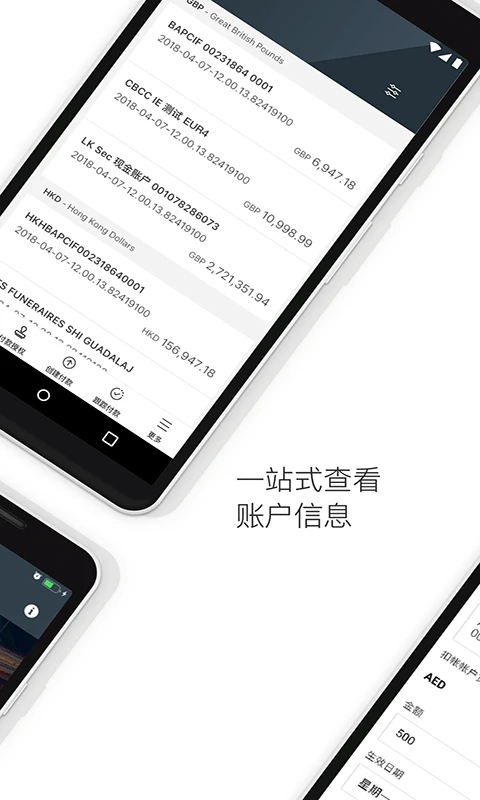 HSBCnet-�����ҵ�������ֽ�ͼ1