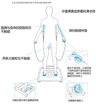 InBody-������ɷַ���������ȷ����������ע��������ͼ