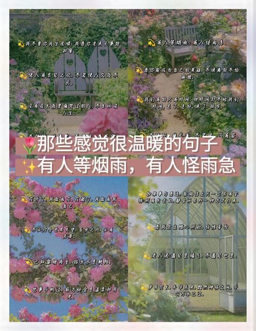 情感语录-治愈系文案短句大全 温暖走心短句合集配图