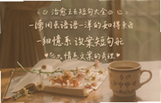 情感语录治愈系文案短句大全温暖你心