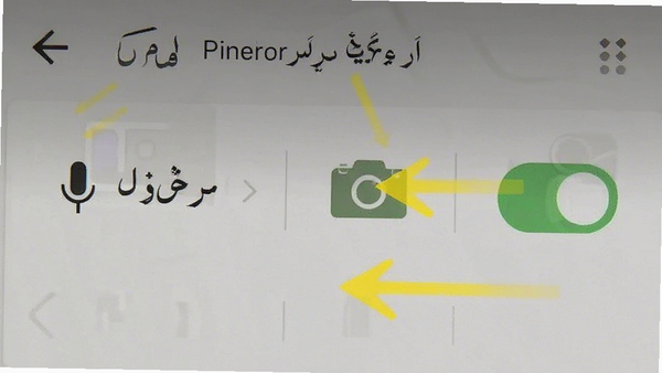 �ڶ����﷭��ͨ �ֻ�Ȩ�����ý����ͼ��չʾ��˷������Ȩ�޿���״̬�����м�ͷָ����ע