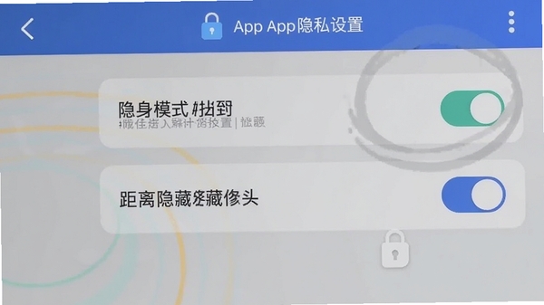 ����app��˽���ý����ͼ��չʾ����ģʽ��������ؿ��أ����԰�ȫ��ͼ�꣬ͻ����˽��������