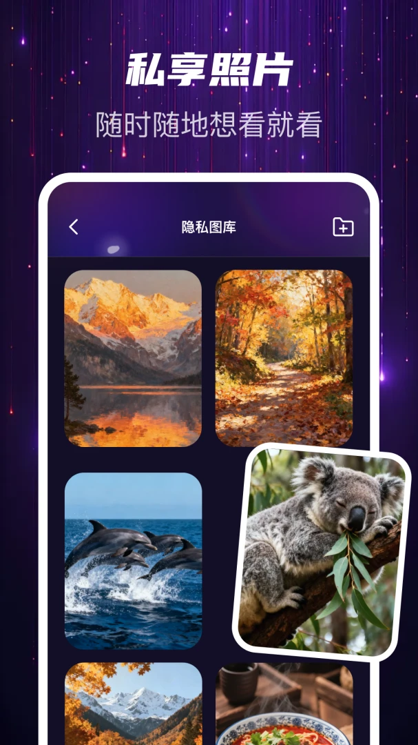 迅夜隐私播-加密本地播放器截图