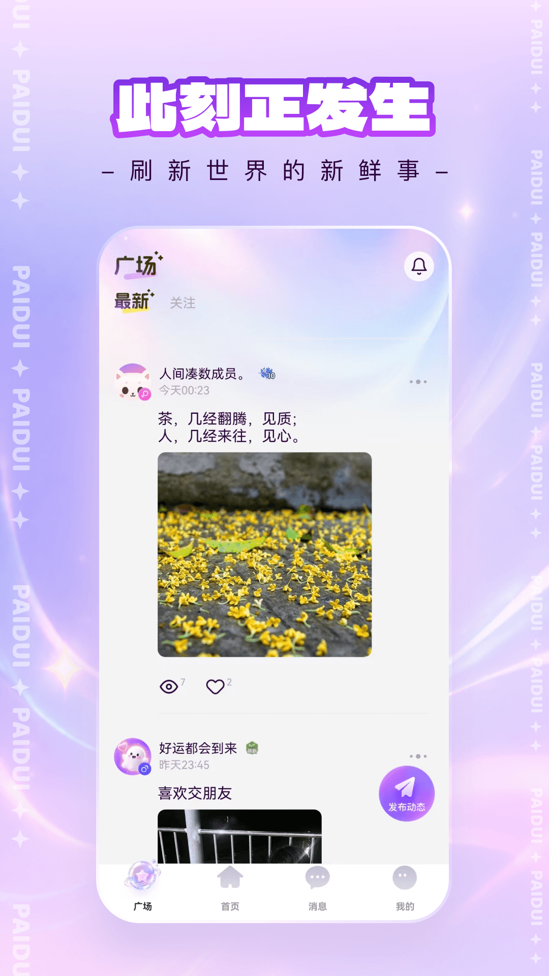 �����ɶ�-�����罻�ɶ���Ϸ��ͼ1