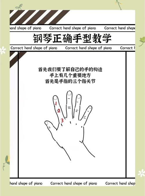 ��������ģ���ʦ-ָ�ⵯ����� ������ϰ��ָ����