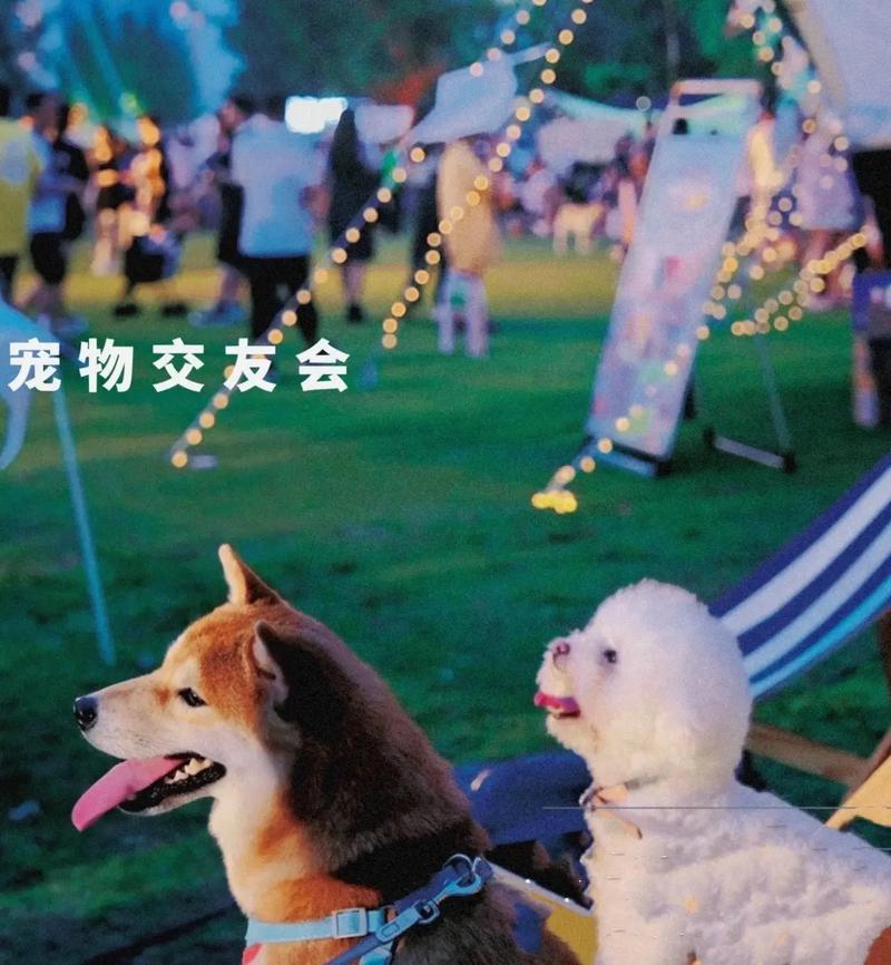 ���ż���-�ȳ轻��ͬ���޹�Լ������
