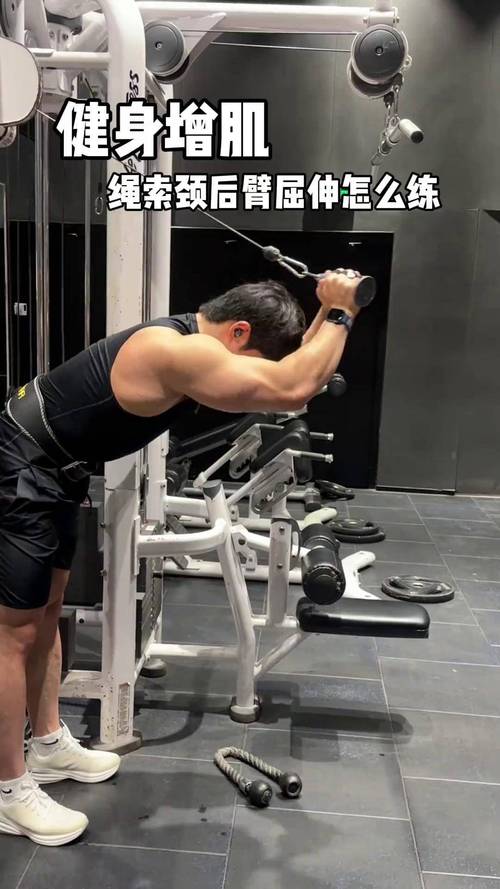 Dee Fit-�����˶��������� ѵ���ƻ� ����ʾ�� ����ѵ����¼ �ֻ���ͼ