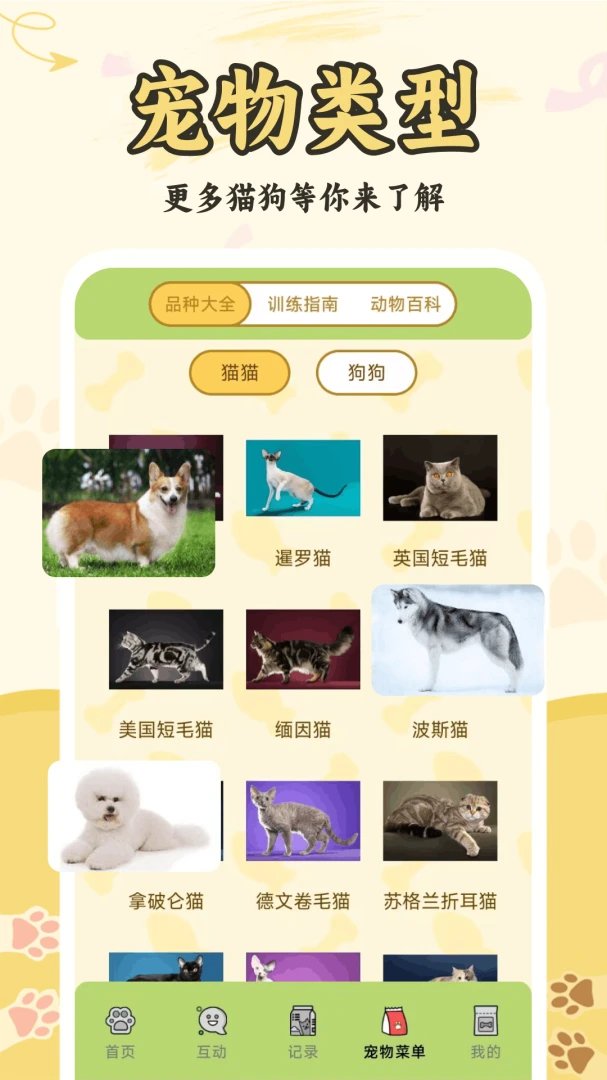 è���˽���������-���������������ֽ�ͼ3