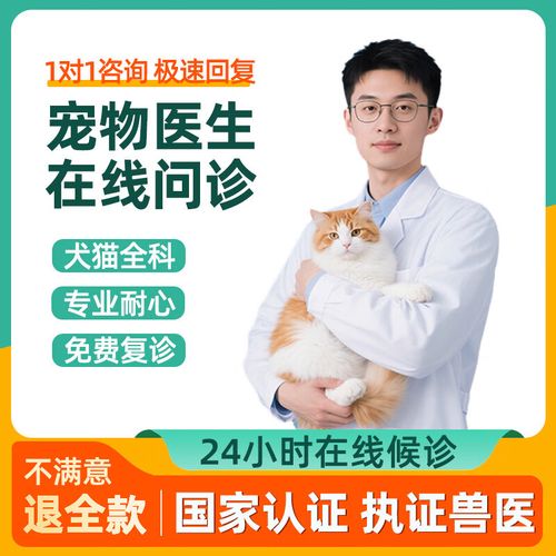 好宠医-宠物在线问诊助手 宠物在线问诊平台推荐实测体验