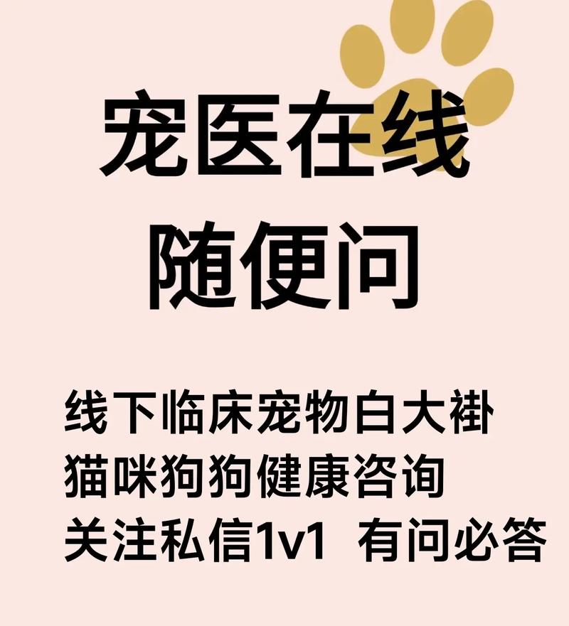好宠医-宠物在线问诊助手 宠物健康咨询平台对比