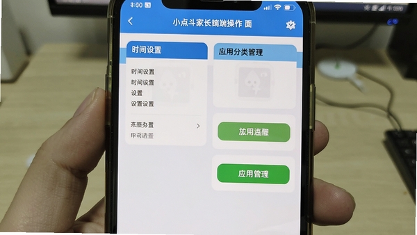 小点斗家长端操作界面截图,展示时间设置与应用分类管理页面,手机屏幕清晰显示各项管控选项