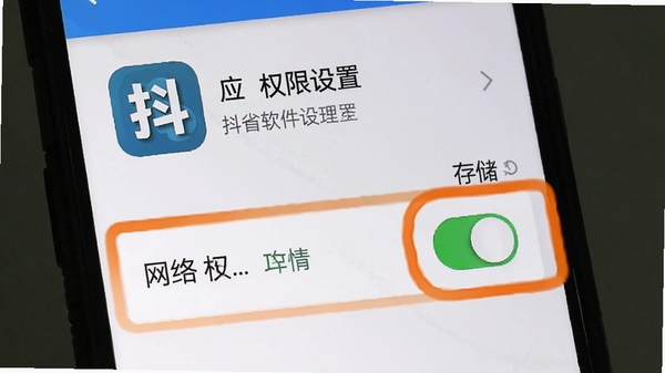 抖省软件安装权限设置示意图,手机屏幕显示应用权限管理页面,高亮标注存储和网络权限开关,带有抖省软件图标和文字说明