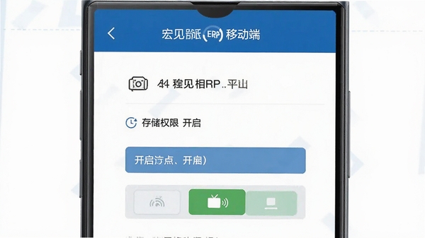���ERP�ƶ��˰�װȨ������ʾ��ͼ��չʾ�����洢Ȩ�޿������棬��������ɫ