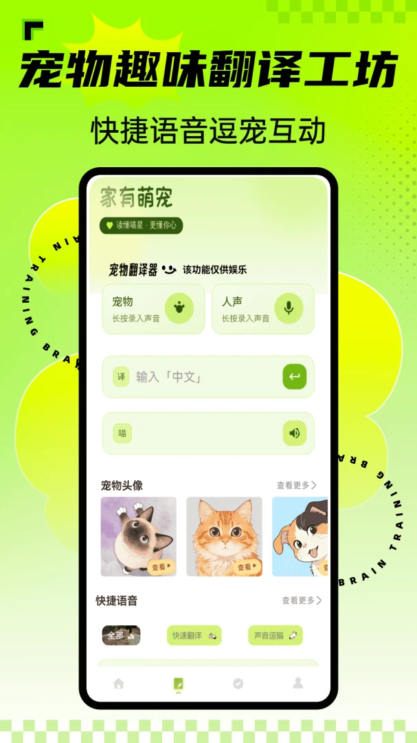 ��������-���｡���������ֽ�ͼ1
