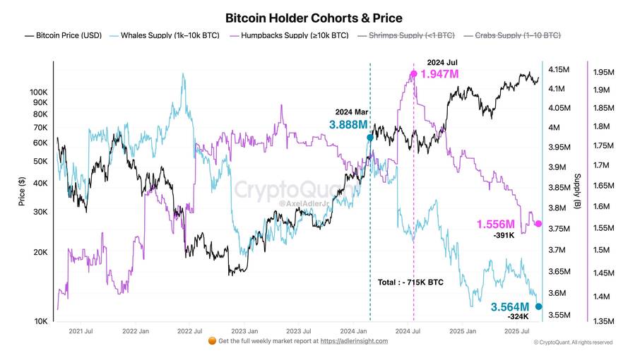 BTC���¼۸�������Կ� �ֻ�App���ر�ʵʱ���������Ա�