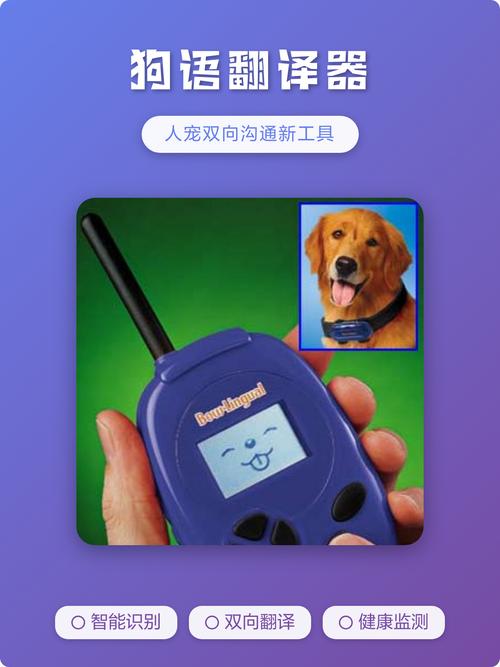 ����ʵʱ������-�˳轻���������� �ֻ���������������չʾ