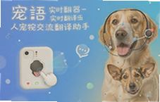 ����ʵʱ���������˳轻�������